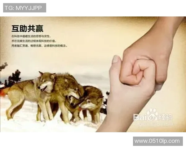 国际米兰与德甲球队达成买卖协议，实现互惠共赢