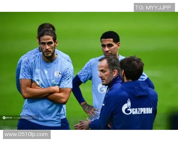 沙尔克04惨遭连败点赞主裁的背后_球队危机何解? 沙尔克04惨遭连败点赞主裁的背后_球队危机何解?